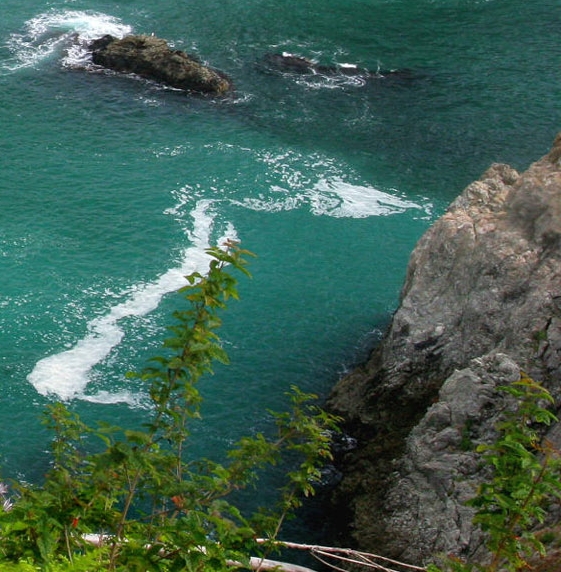 粉象生活类似APP