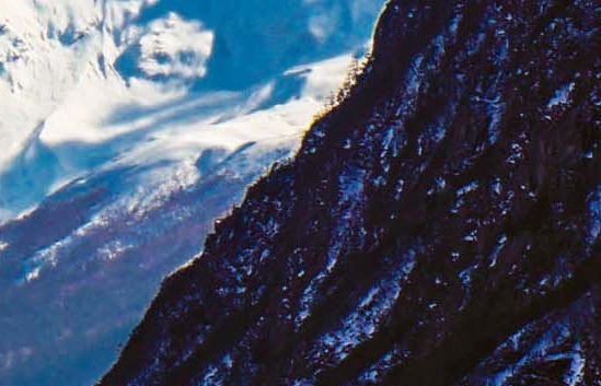 广东粉象生活如何使用