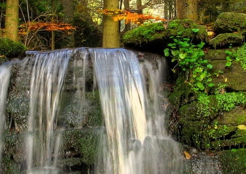 粉象生活如何在线提现