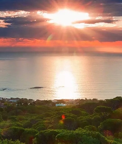 粉象生活怎么快速推广