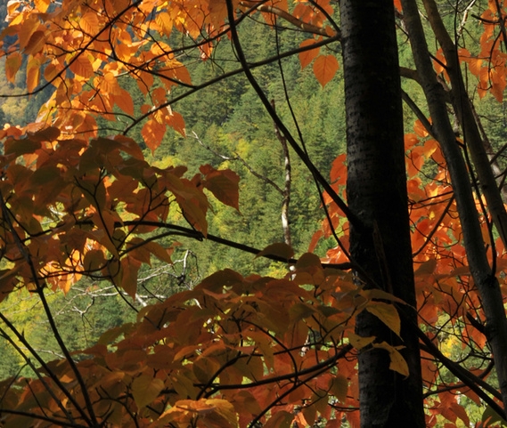 珠海粉象生活使用教程