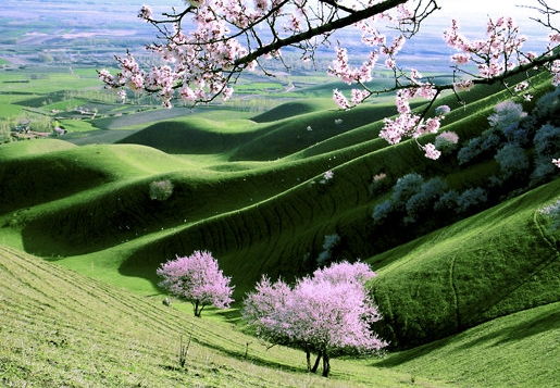 粉象生活上如何赚钱