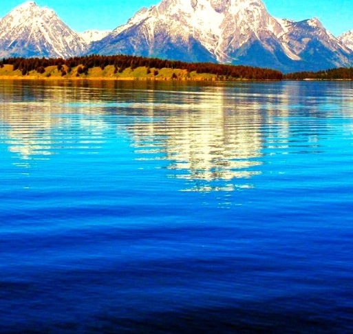 上海高端粉象生活赚钱么