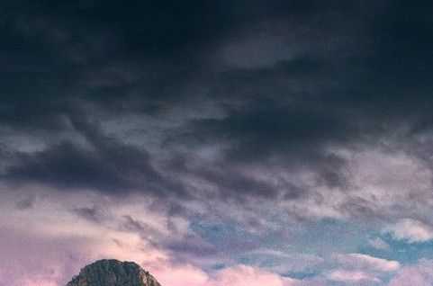 粉象生活是什么