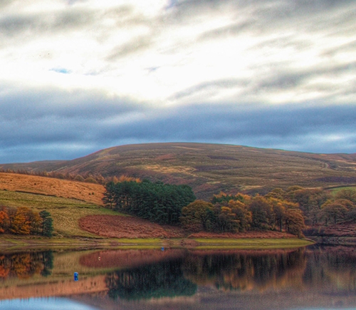 和粉象生活类似的软件