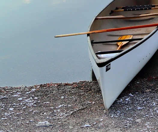 粉象生活上的电商怎么样