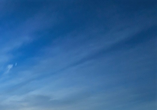 肇庆粉象生活推广