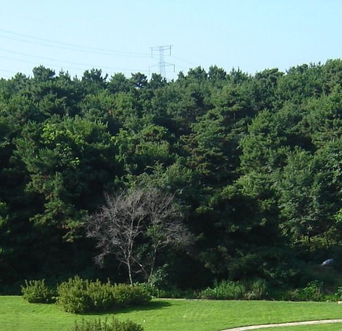 粉象生活送现金券是真的吗