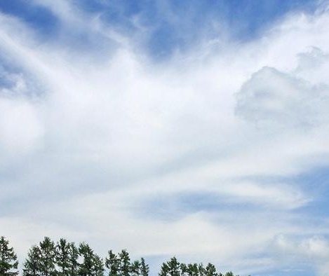 粉象生活怎么注册新号