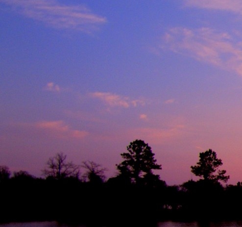 吉林品质粉象生活