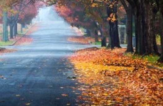 粉象生活开店怎么收费