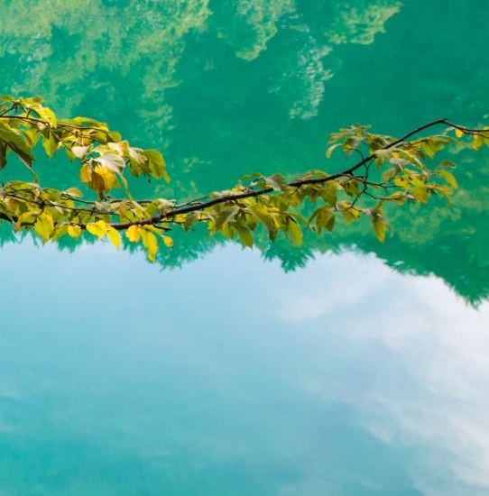 粉象生活邀请码