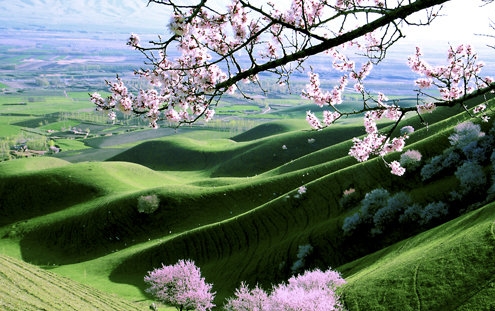 粉象生活私信怎么发