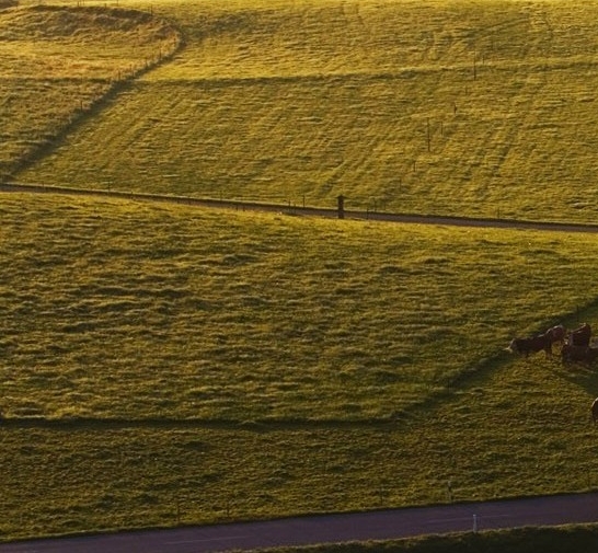 粉象生活推广难度大