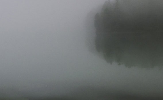 粉象生活发什么视频