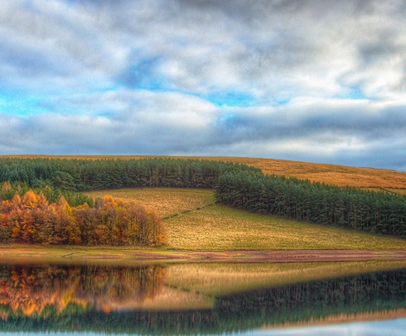粉象生活邀请码在哪里填写
