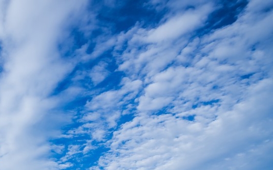 东莞粉象生活佣金