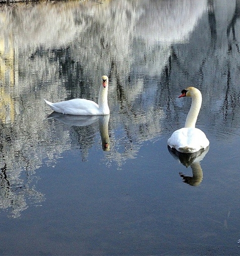 粉象生活宝妈如何挣钱