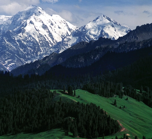 粉象生活和淘宝什么关系