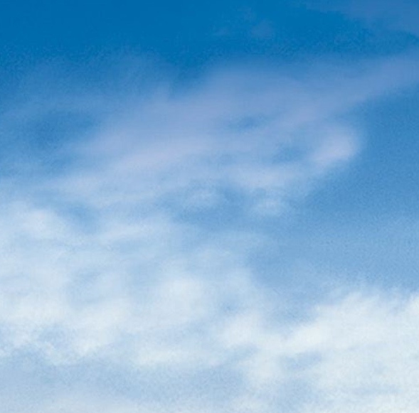 粉象生活几个等级