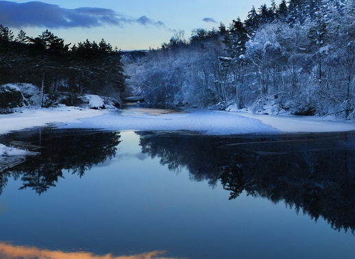 类似粉象生活的软件有哪些