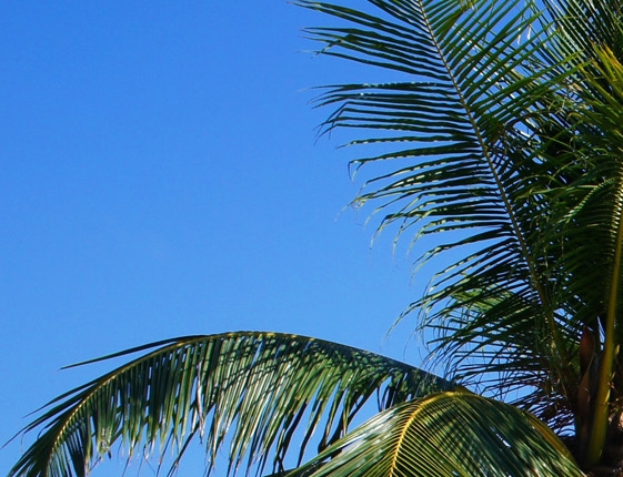 粉象生活线上教程