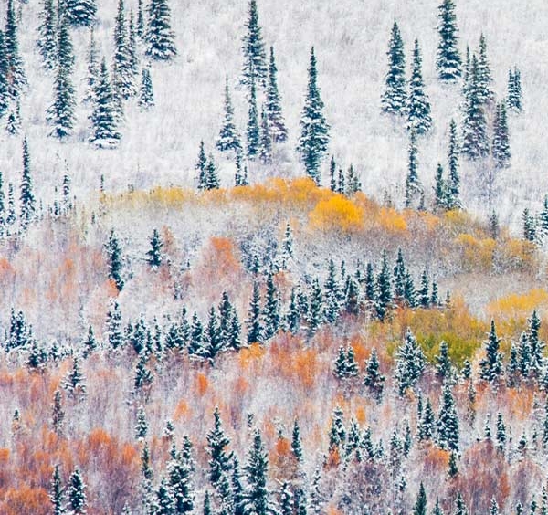 粉象生活送红包怎么用