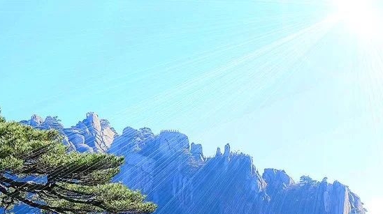 如何雇佣微博黑粉