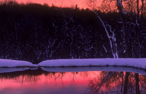 类似淘粉生活的平台