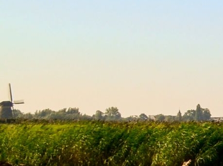 粉象生活可以赚钱吗