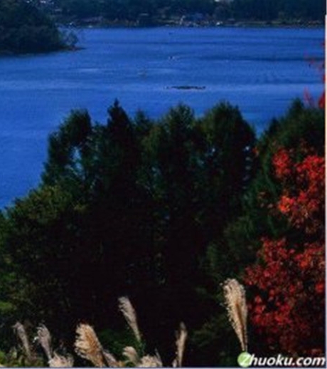 粉象生活是干嘛的