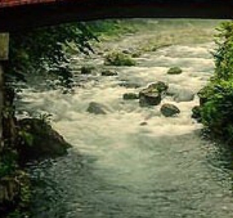 北京扶贫粉象生活