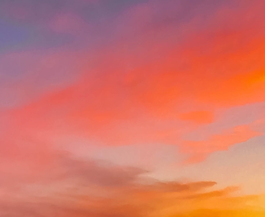 合伙人股权分配协议书