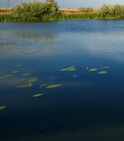 制作生活日历图片