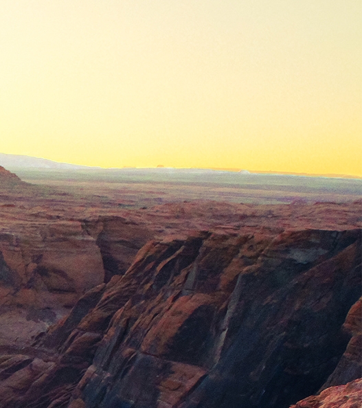 粉象生活收益多少