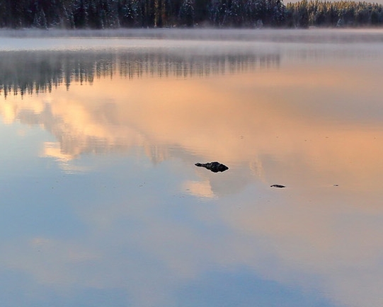 粉象生活的新用户怎么推广