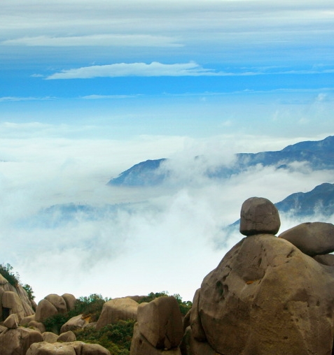 粉象生活加盟邀请码