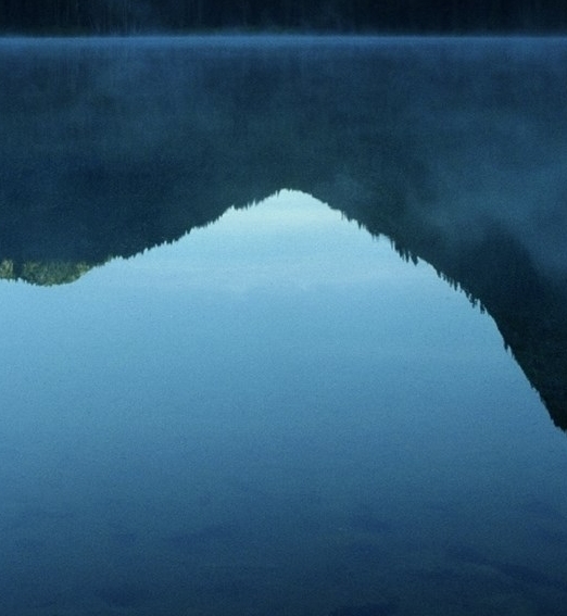 粉象提现手续费怎么算