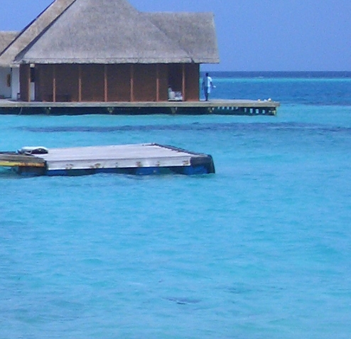 粉象生活赚钱教程