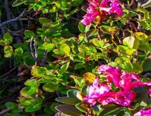 粉象生活怎么分享赚钱