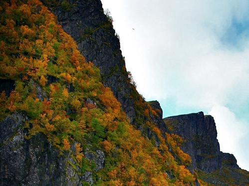 粉象生活邀请人