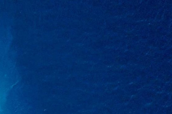 粉象生活真实收入