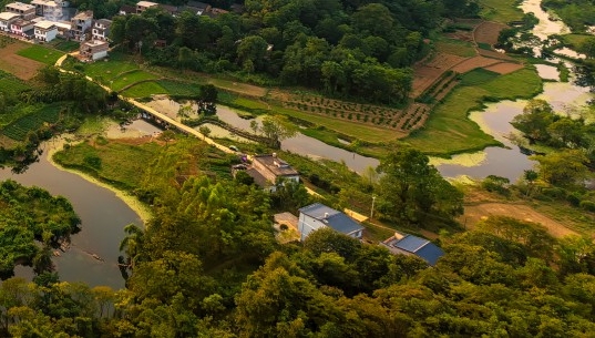 粉象生活是返利网吗