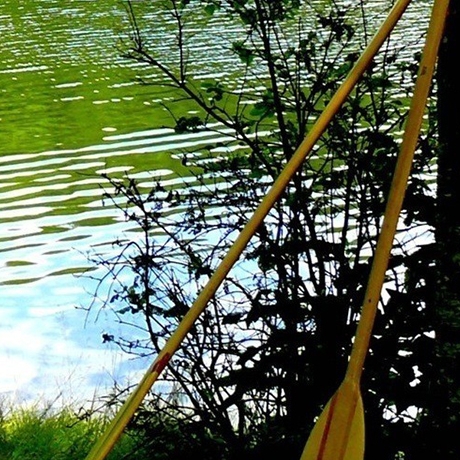 粉象生活能赚到钱吗