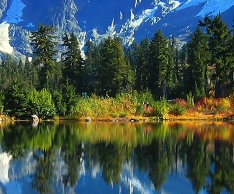 《粉象生活》标语