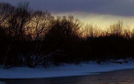 粉象生活是什么
