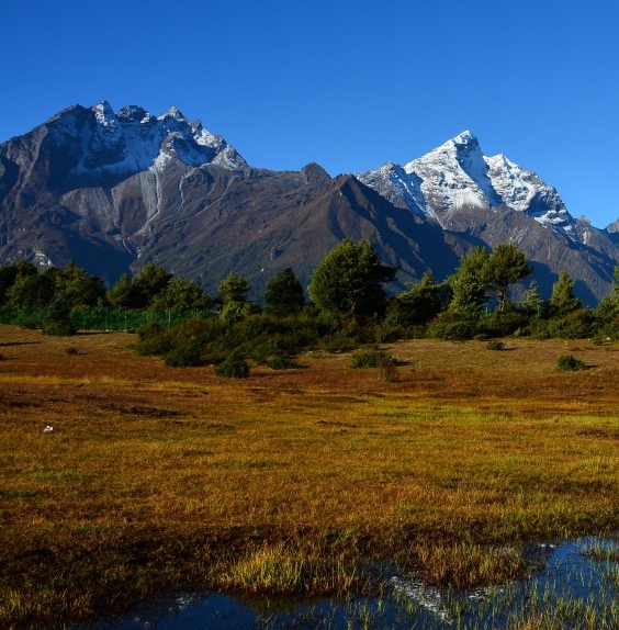 注册了粉象怎么注销