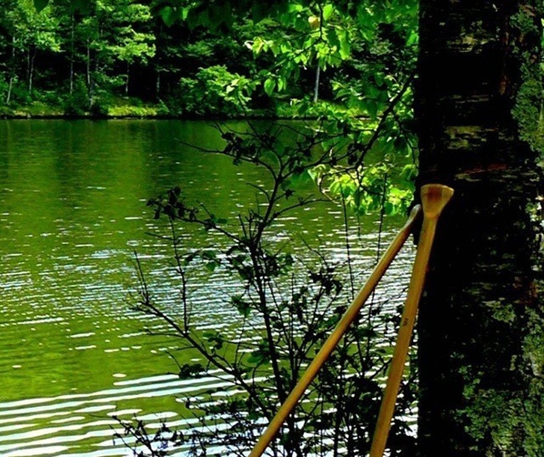 粉象生活下载app