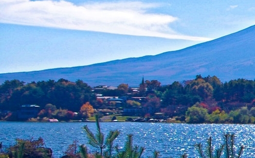 粉象生活可以拿几代佣金