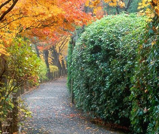粉象生活商家服务